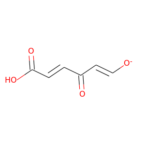 4-hydroxymuconic semialdehyde